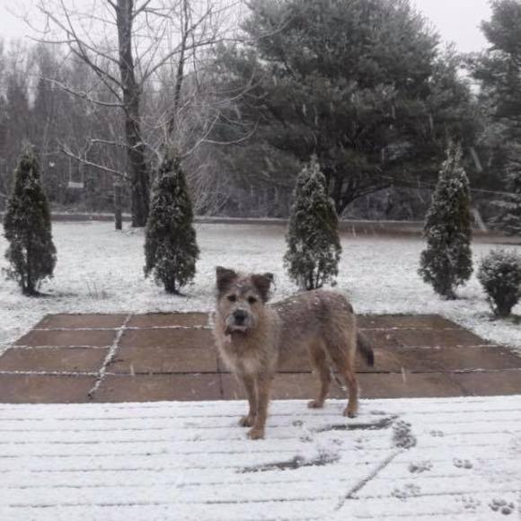 Meet your Posher, Sonia - Picture 1 of 1